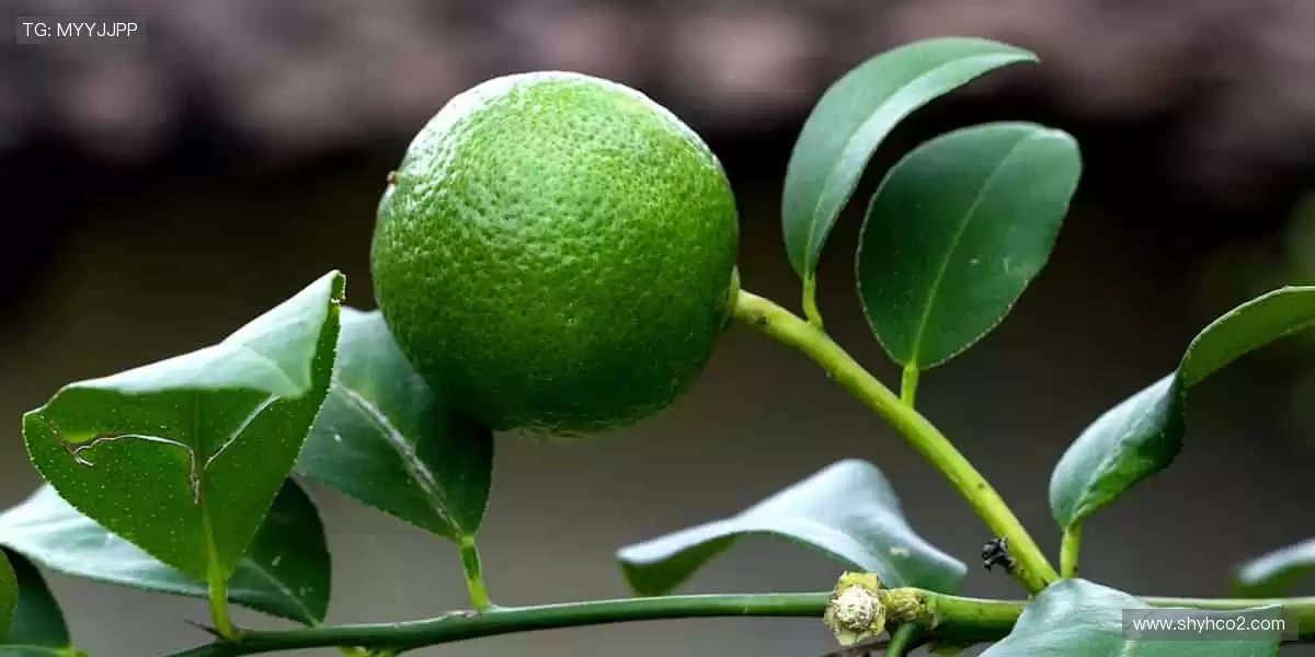 💥 突破极限,见证体育精神的力量!🏅